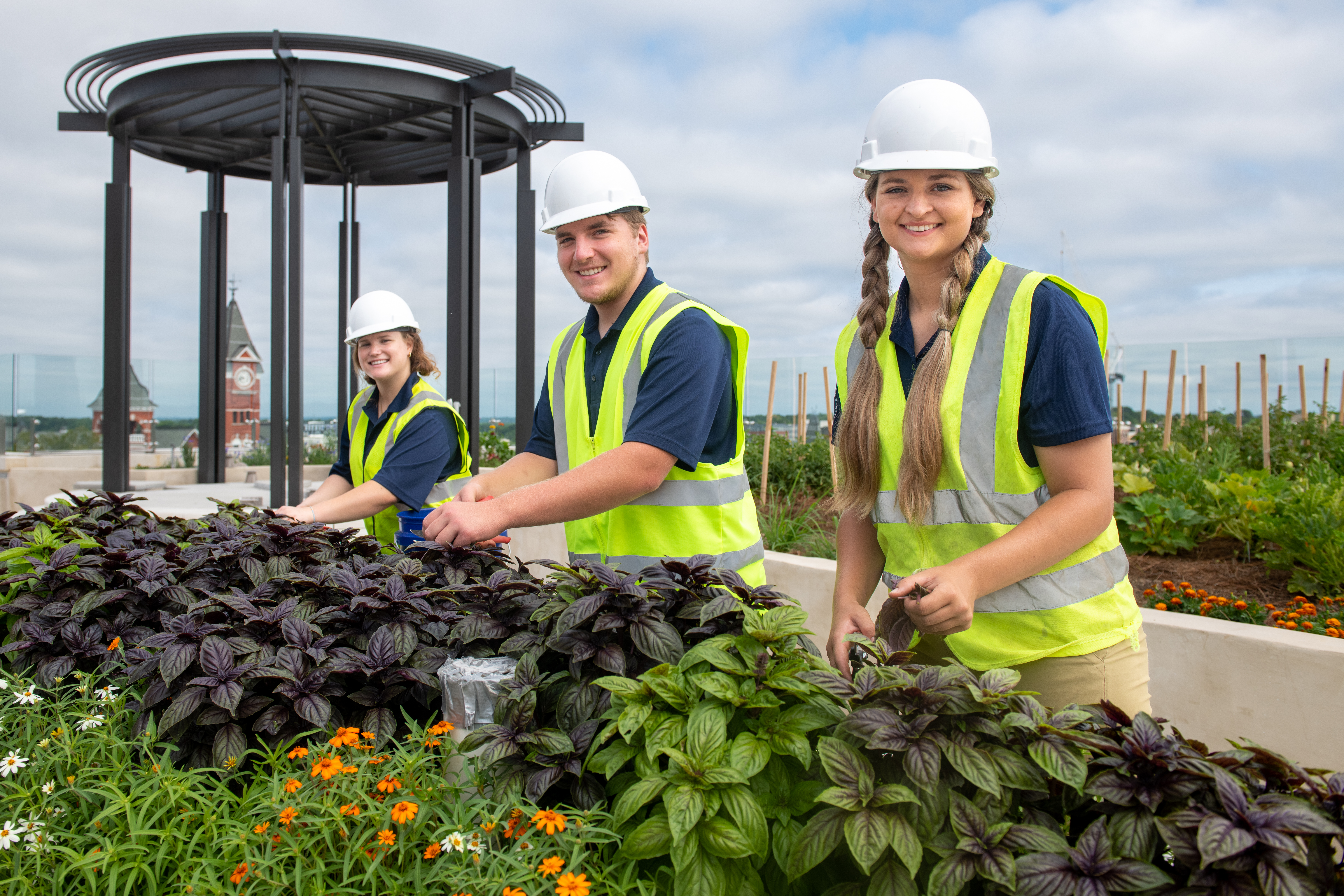 students working in rooftop garden