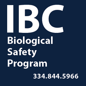 IBC logo