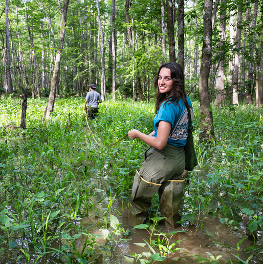 research team members walking through coastal wetland