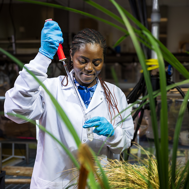 research in Green Infrastructure Laboratory