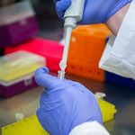 hands working in a laboratory