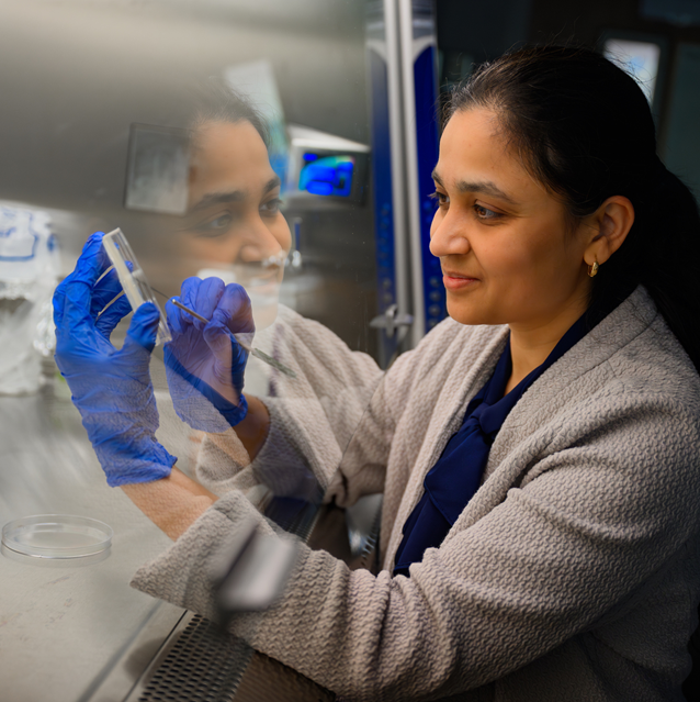 Neha Potnis in laboratory