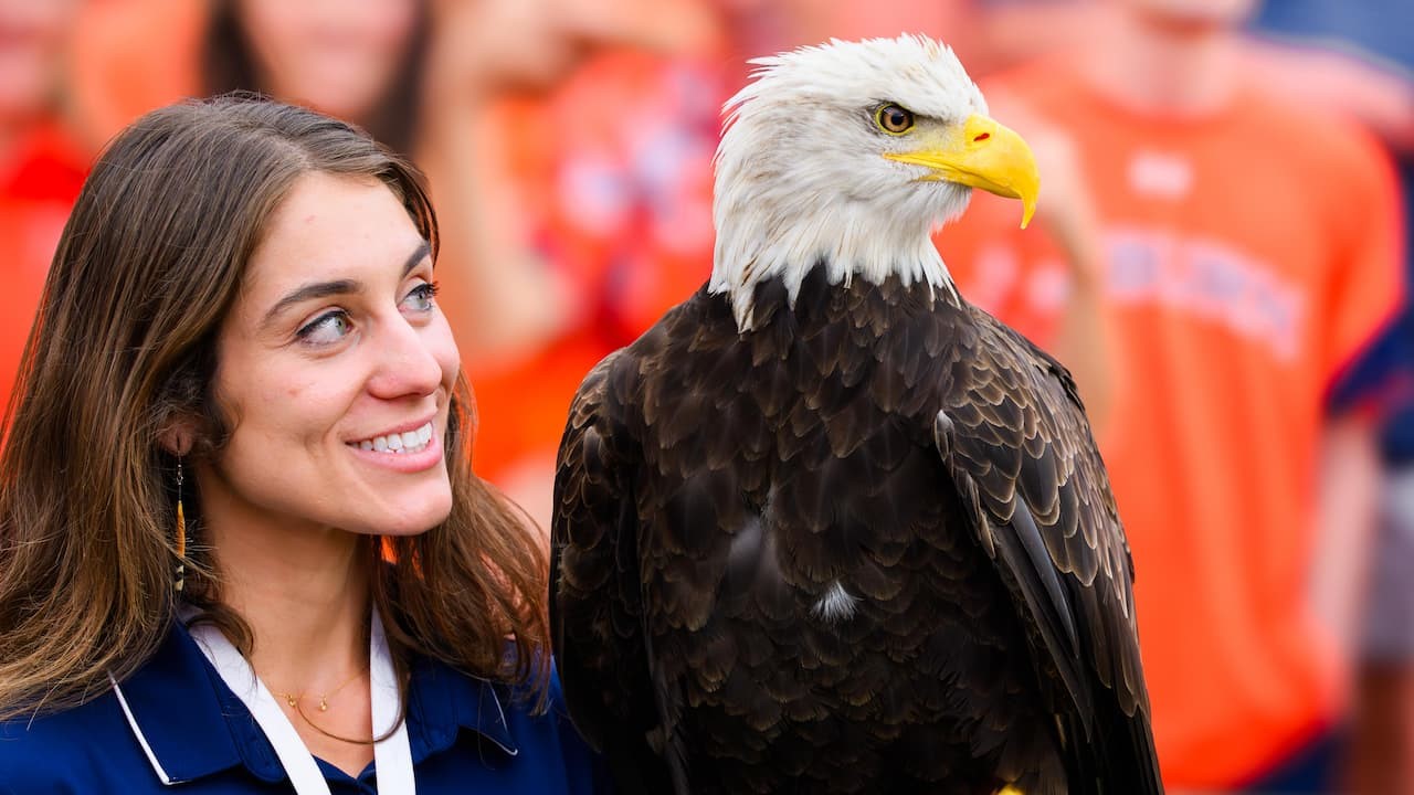 eagle with trainer