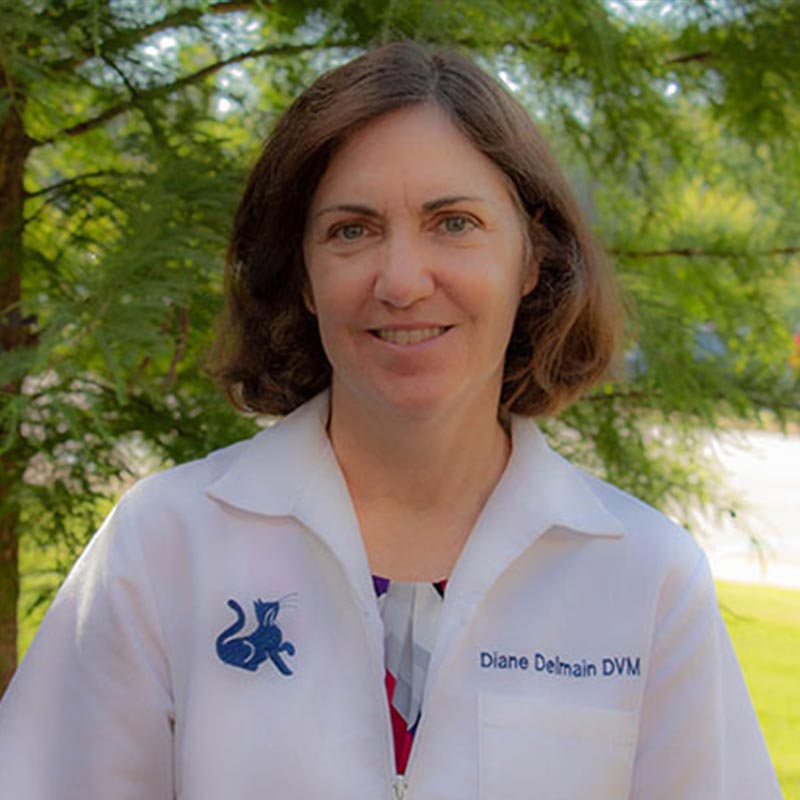 Diane Delmain